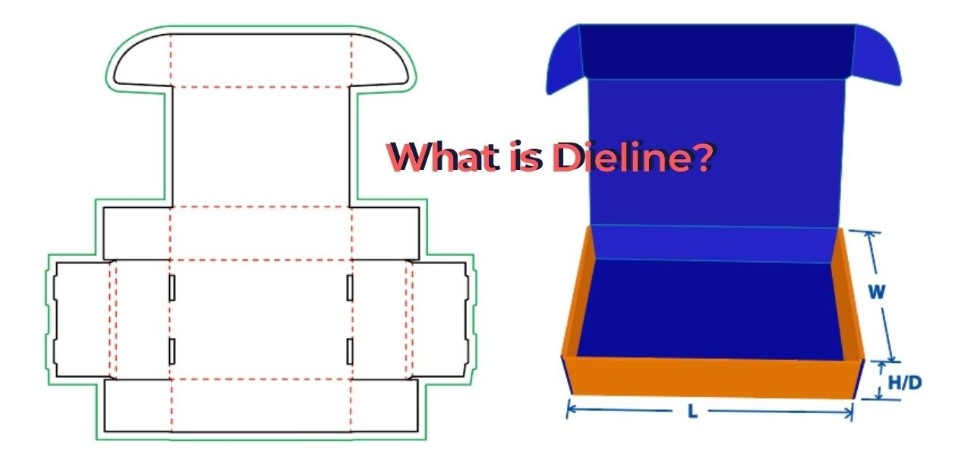 What is a Dieline: A Guide for Your Packaging Success