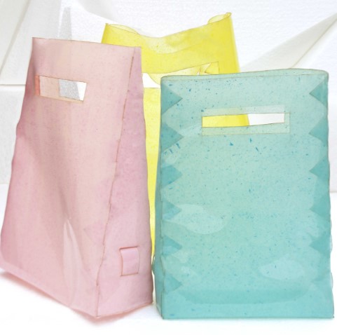 Custom Pouch Packaging-Bioplastics Pouches