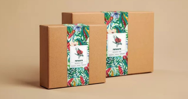 Folding Carton Styles-Sleeve Packaging