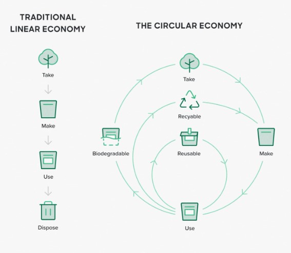 Sustainable Packaging Solutions-Catalyzing Positive Change