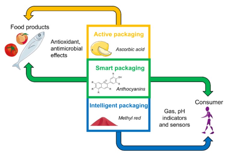 active packaging and intelligent packaging in smart packaging